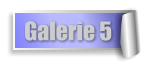 Galerie 5